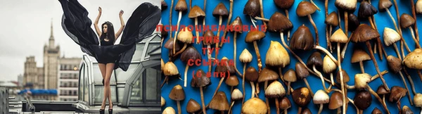мяу мяу мука Кинешма