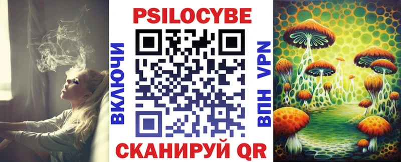 Псилоцибиновые грибы Cubensis  гидра маркетплейс  Киселёвск 